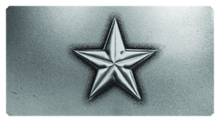 DSC700 430 SL Star Silver